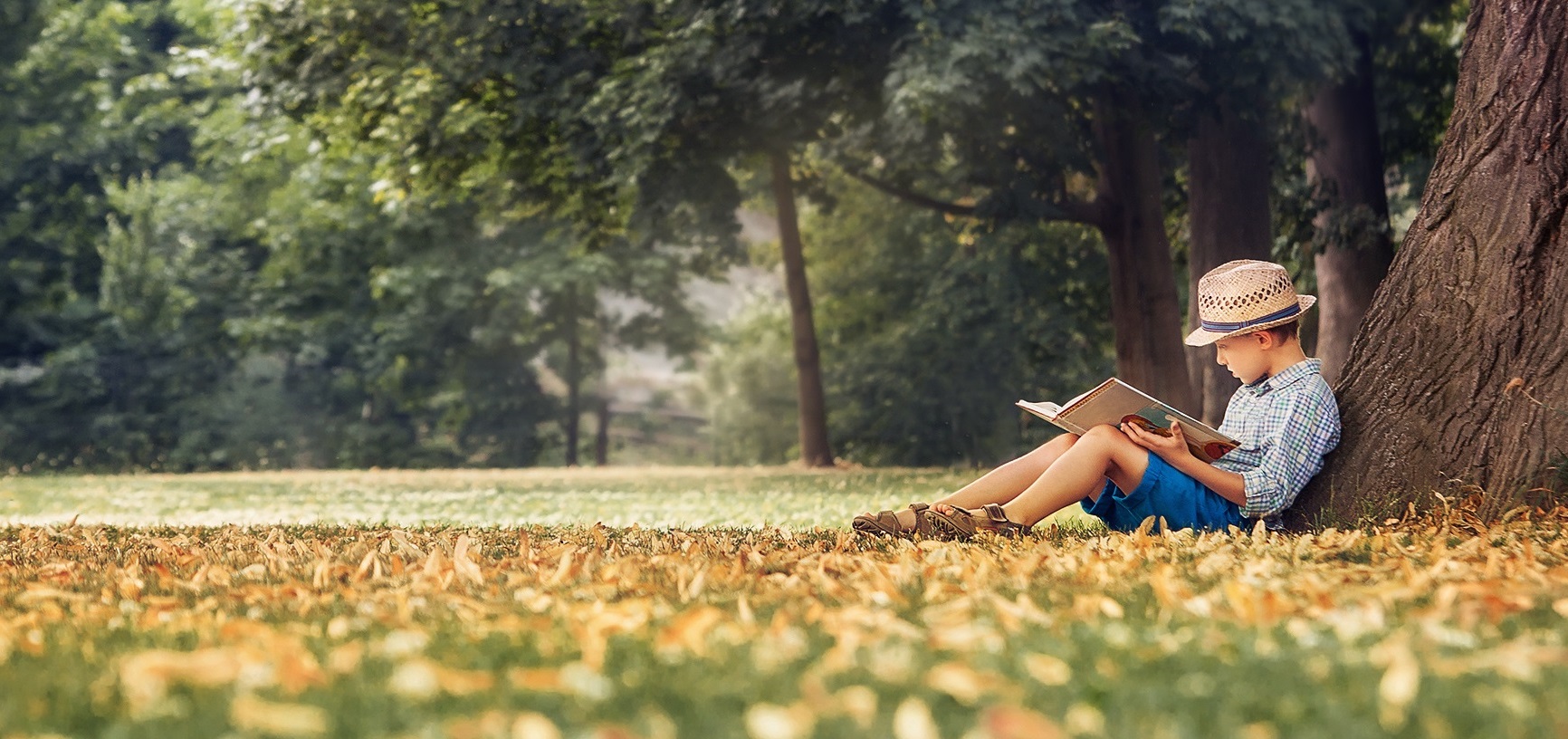 Enfant qui lit assis sous un arbre