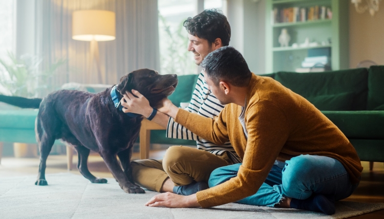 Two men with a dog